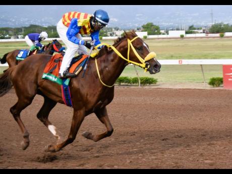 Credit: Anthony Minott/Freelance Photographer
BLUE VINYL (right), ridden by Javaniel Patterson, wins the eighth race, the Temperence Oaks Trophy over seven furlongs, a three-year-old and over overnight allowance stakes, at Caymanas Park yesterday.