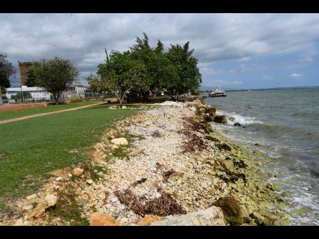 Credit: Ian Allen/Photographer There are calls for a wall to be erected along the coast to prevent children from wandering into the sea or crocodiles from coming ashore into the JAG Myers Municipal Park in Black River, St Elizabeth.