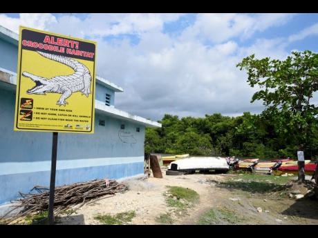 Credit: Ian Allen/Photographer A crocodile alert sign near the fish market in Black River, St Elizabeth.