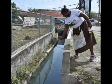 Credit: Ian Allen/Photographer A fish vendor shows points to an area in a canal where crocodiles sometimes hide out near the fish market in Black River, St Elizabeth.