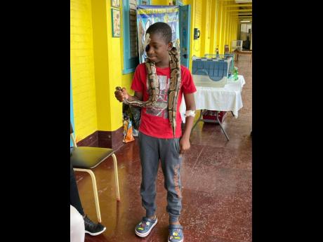 Nayarie Johnson pets a snake during last week’s Animal Recovery and Care Programme at the Bustamante Hospital for Children in St Andrew.