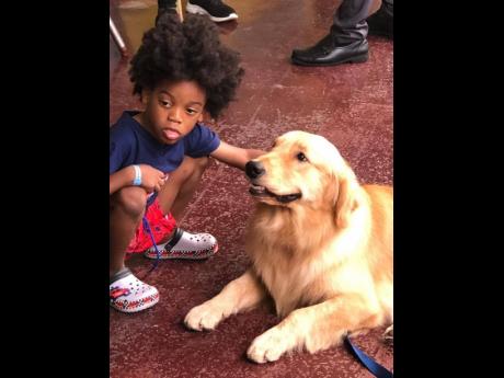 
On Thursday, four-year-old Shavoy Ashman played with Teddy Barks, Bustamante Hospital for Children’s rehabilitation dog as part of its Animal Assisted Recovery and Care Programme.