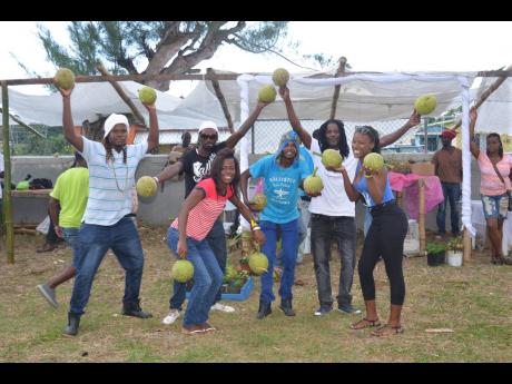 Credit: File Members of the Veteran Farmers Alliance show off their breadfruits at 2016 staging of the Hanover Agricultural, Food and Industrial Show.