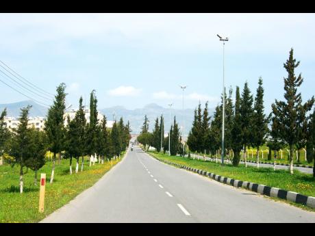 In landscape practice, trees are generally classified according to height as small (4.5-6m/15-20 feet), medium (9-12m/30-40 feet) and large (12m/40 feet and above). 