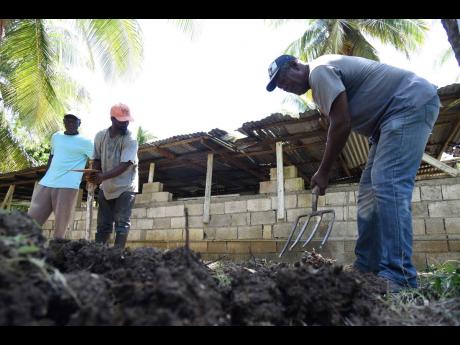Credit: Ian Allen Ian Allen
Members of the Kanga Gully Farmers Group in Nutts River, St Thomas, prepare a nursery for coconut seedlings during a training session held on Tuesday by representatives from the Caribbean Agricultural Research and Development Institute (CARDI).