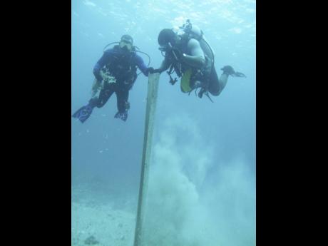 Credit: A dive to more than 100 feet should not last more than 20 minutes