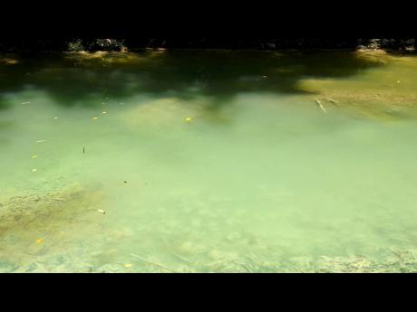 A section of the Rio Cobre where residents say there is discolouration.