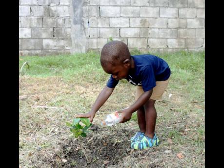 Two-year-old Javier Dennis takes part in the tree planting exercise at the Salt Spring Primary & Infant School in St. James as part of the parish’s annual Labour Day activities on Tuesday May 23.