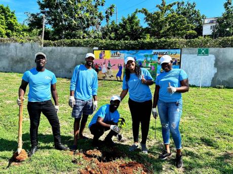 Members of the Carreras Montego Bay depot plant a Spanish Elm seedling at the St. James Infirmary in Montego Bay.