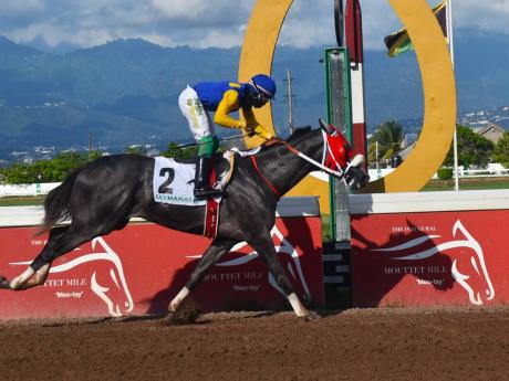 MOJITO, Dane Dawkins aboard, wins the Jamaica 2000 Guineas on June 4. 