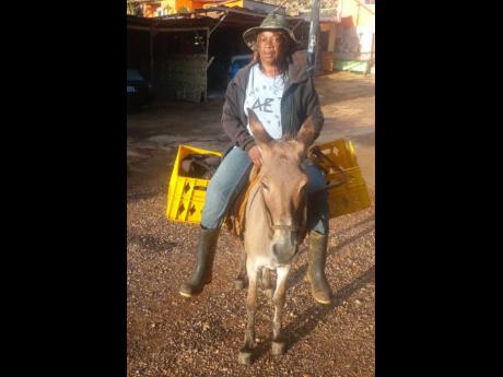 Merlene Coley prepares to go to the farm two miles from her home in Banana Ground, Manchester.