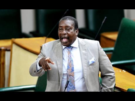 Member of Parliament for West St Mary Robert Montague shouts at opposition spokesperson on Finance Julian Robinson during the weekly sitting of Parliament.