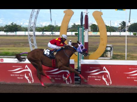 GENERATIONAL, with Paul Francis aboard, wins the ninth race over seven furlongs at Caymanas Park on Monday, August 7, 2023.