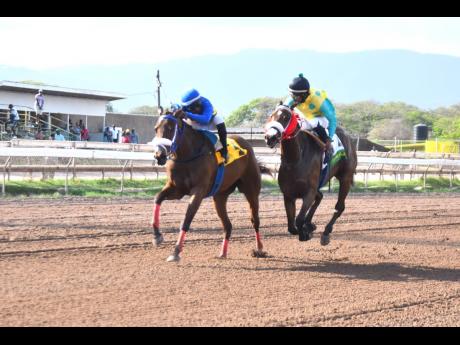 CHAMPION BUBBLER, with Omar Walker aboard, wins the seventh race over 1500 metres ahead of a fast-finishing TEKAPUNT (Reyan Lewis)   at Caymanas Park on Saturday, April 1, 2023.