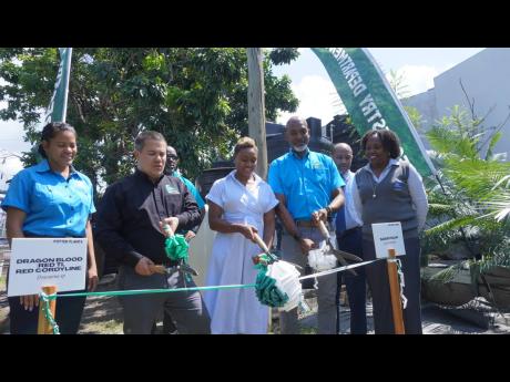 From left: Leanne Spence, CEO and co-founder of Instant Save Conservation Solutions Ltd, looks on as the ribbon cutting for the commissioning of the Forestry Department’s Rainwater Harvesting and Upgraded Irrigation Systems is performed by Senator Matthe