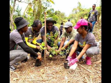 Sandals Foundation volunteers engage in a tree-planting exercise on Earth Day. 