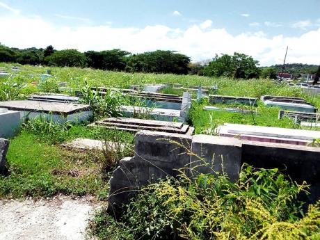 A section of the Lucea cemetery in Hanover, where overgrowth is covering many of the graves.