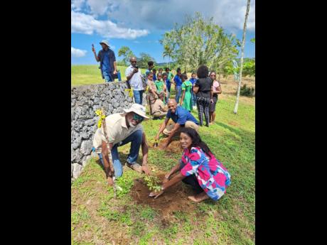  Ainsley Henry (left), CEO and conservator of forests at the Forestry Department, is joined by Donna Howe, managing director of Jamaica Bauxite Mining Limited and Dr Kenneth Russell, who represented Lisa Hanna, member of parliament for South East St Ann, i