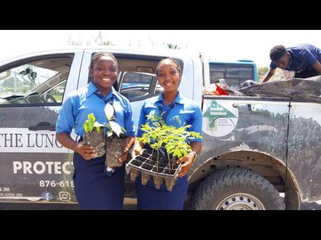 Students of Mount Hermon All-Age School in Westmoreland present fruit and ornamental seedlings to be planted at the school on National Tree Planting Day.