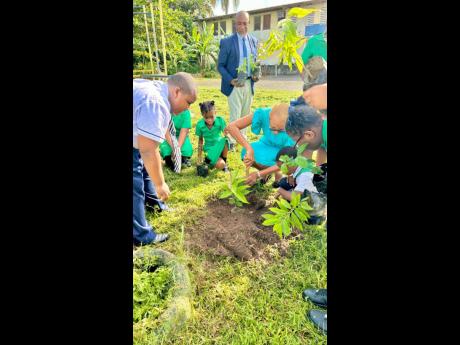 Fayval Williams, minister of education and youth, plants fruit seedlings with students of Shortwood Practising Primary & Infant School in St Andrew on National Tree Planting Day.