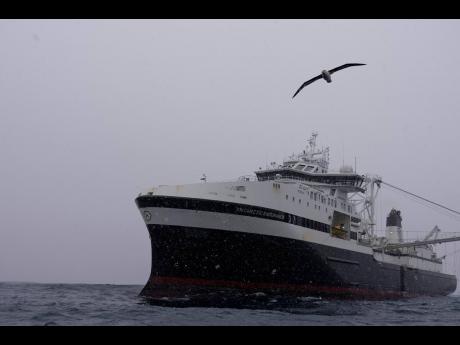 Credit: David Keyton A bird flies past as snow falls on the Norwegian Aker BioMarine’s ‘Antarctic Endurance’ ship operating in the Southern Ocean off the coast of the South Orkney Islands, north of the Antarctic Peninsula, on March 8, 2023.