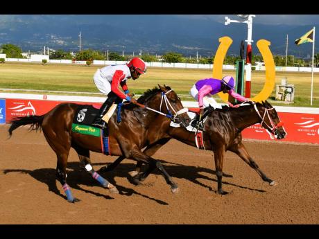 Kp Choice (left) chases Prncssshootingstar home during a four-year-old and upwards restricted allowance stakes at Caymanas Park in January.