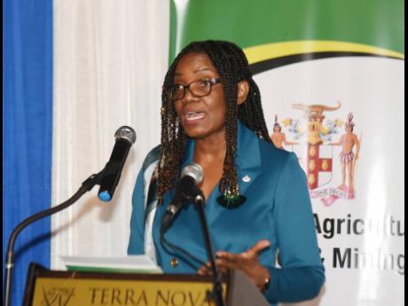 Sharonmae Shirley, chief executive officer of the Jamaica National Agency For Accreditation, addresses the Plant Quarantine Produce Accreditation Recognition Ceremony at the Terra Nova All Suite Hotel in St Andrew last Thursday.