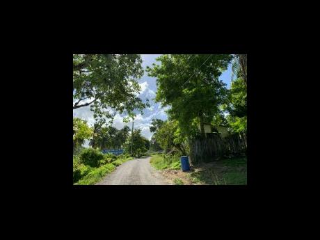 Perth Town residents have complained that the proximity of vegetation to the lines in their Trelawny community has contributed to fires and outages, especially during periods of rainfall, in the past few months.