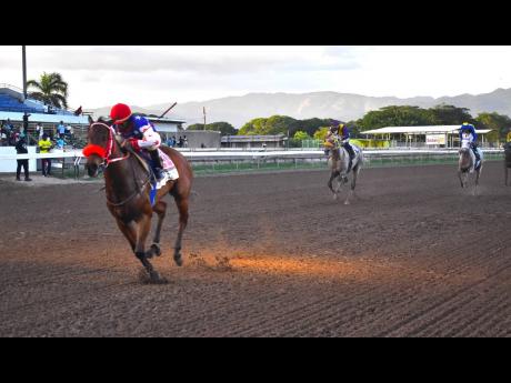 Credit: Anthony Minott/Freelance Photographer EMPEROROFTHECATS, ridden by Shavon Townsend, wins the Ahwhofah Trophy over six furlongs at Caymanas Park yesterday.