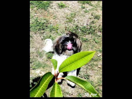 Something is delicious.