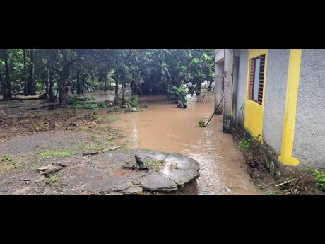Terrel Mayson’s backyard in Pigdry, Portland.