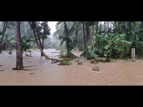 The heavy downpour caused the White Cane River to overflow its bank, resulting in the entire area being flooded.