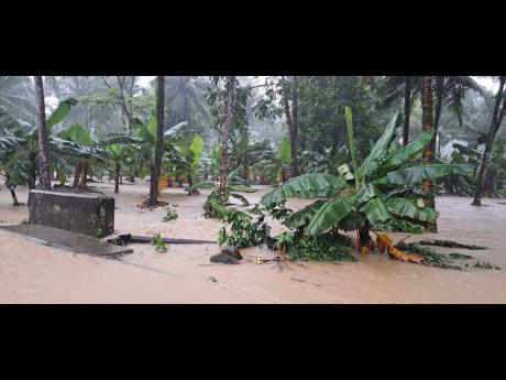 The rains, which started on Friday, battered sections of Pigdry, Seaman’s Valley, Windsor, and other areas, leaving a trail of destruction in the communities with significant damage to the road network, crops, livestock, and houses.