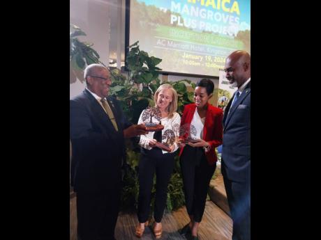 From left: Professor Dale Webber, coastal ecologist, together with Ambassador Marianne Van Steen, head of the delegation of the European Delegation to Jamaica; and Jhannel Tomlinson, programme management and monitoring specialist at the Food and Agricultur