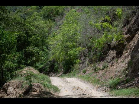 This file photo shows the roadway leading to Somerset, a community in St Andrew East Rural. Deborah Hickling Gordon writes: When we speak of community, we are literally speaking of common ground, shared by many.  