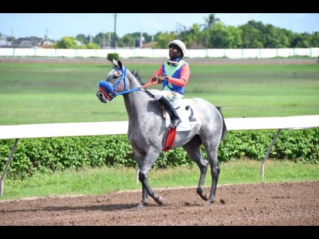 RUN JULIE RUN, ridden by Omar Walker, wins the two-year-old maiden special weight stakes over five furlongs round at Caymanas Park on Sunday, October 15, 2023.