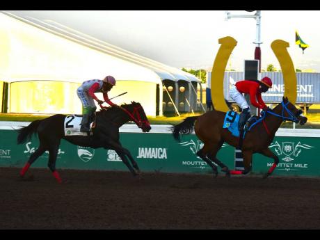
BANADURA, ridden by Robert Halledeen, wins the Thornbird Stakes ahead of stablemate COMEHOMETOME (Josue Osorio) over seven furlongs, a three-year-old graded stakes for fillies at Caymanas Park yesterday.