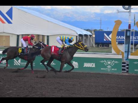 RHYTHM BUZZ, ridden by Javaniel Patterson, wins the Henry W. Jahhai OD Memorial Trophy over six furlongs, a three-year-old and upwards overnight allowance stakes, at Caymanas Park on March 16.