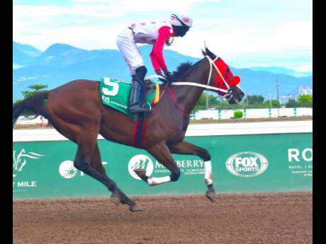 INTRESTNTIMESAHEAD, ridden by Tevin Foster, wins The Kingston, a three-year-old graded stakes  over seven-and-a-half furlongs at Caymanas Park on Sunday May 5.