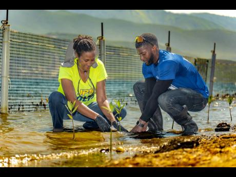 JPS manager of engineering projects Michelle McFee and National Environmental and Planning Agency environmental officer Andre Bingham were among scores of volunteers out for the mangrove-sapling planting project through a joint partnership between the JPS 