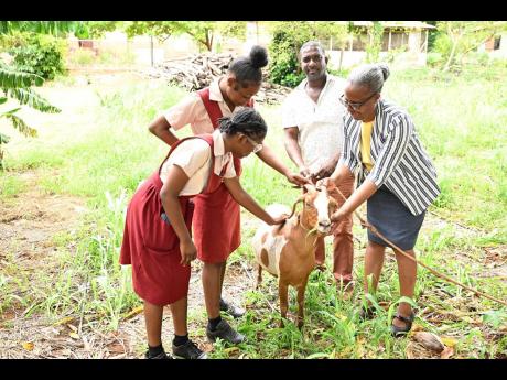 Principal of Newell High School in St Elizabeth, Audrey Ellington (right), is joined by agricultural science teacher Kirk Black and students Shanna-Kay Brooks (left) and Shion Channer in petting one of the institution’s dairy goats.