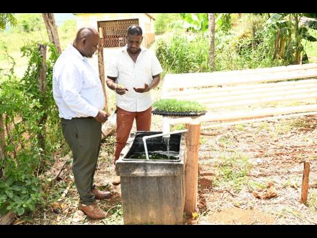 Vice-Principal of Newell High School, Errol Bennett (left), looks on as agricultural science teacher Kirk Black shows off some lettuce seedlings to be used in the school’s innovative aquaponics project.