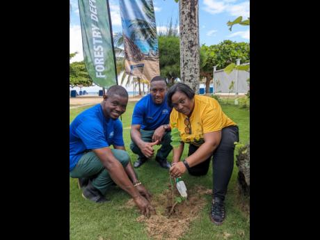Sophia Gooden-Morris (right), forest technician at the Forestry Department, teams up with staff from Jamaica Inn to plant a Poor Man’s Orchid tree, among others, on the resort’s compound in St Ann on the eve of World Environment Day, celebrated on June