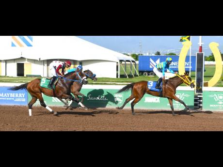 
RHYTHM BUZZ, ridden by Reyan Lewis, wins the Mark My Word Trophy, a three-year-old and upwards open allowance stakes over nine furlongs and 25 yards, at Caymanas Park yesterday.