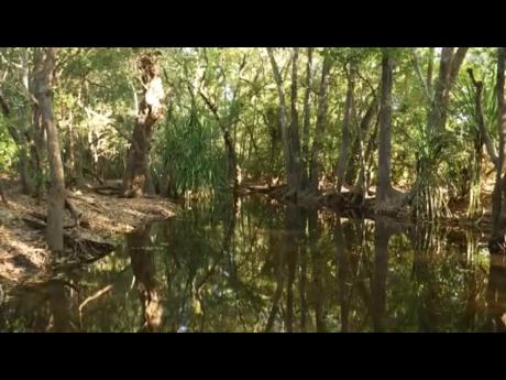 This image made from video provided by AuBC shows a part of an area in Palumpa, Australia on Thursday, where a girl was reported missing Tuesday after she went swimming. 