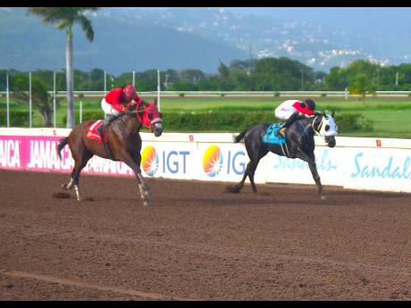 FRED THE GREAT (left) ridden by Robert Halledeen wins the seven-furlong Hubert ‘Chinna’ Bartley Memorial Trophy race  ahead PROVOCATIVA  (Tevin Foster) at Caymanas Park on Saturday, June 29, 2024.