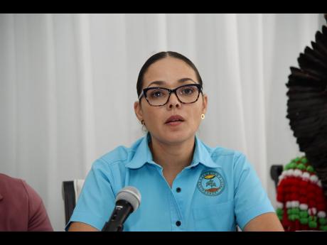 Dr Theresa Rodriguez-Moodie, CEO of the Jamaica Environment Trust.
