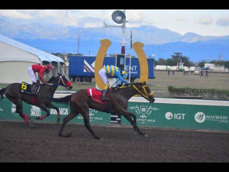 Credit: Anthony Minott/Freelance Photographer RHYTHM BUZZ, ridden by Javaniel Patterson, wins the hree-year-old and upwards overnight allowance stakes’ Henry W. Jahhai OD Memorial Trophy race ahead of WALL STREET TRADER over six furlongs, at Caymanas Park in March.