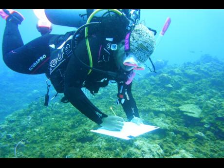 Credit: AG Guest Guest The Nature Conservancy’s Gina-Marie Maddix collecting data during the CoralCarib baseline surveys earlier this year.
