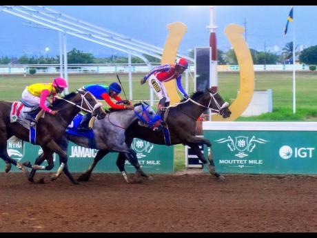 Credit: Anthony Minott/Freelance Photographer CROWN CHASER (right), ridden by multiple Derby winner, Shane Ellis wins the 104th running of The Jamaica Derby over 12 furlongs ahead of RUN JULIE RUN (centre) and CAPTAIN SPARROW at Caymanas Park yesterday.